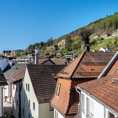 Schwarzwaldnest *
